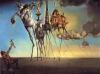 salvador dali